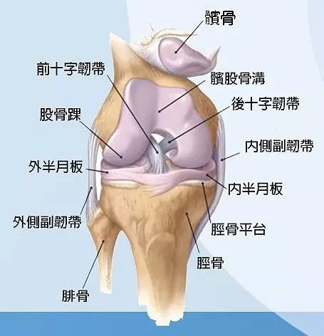 其实引起膝关节疼痛的原因有很多,我们并不能一味地归咎于半月板