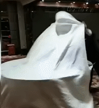 reddit的这张funny gif就是最好的证明.