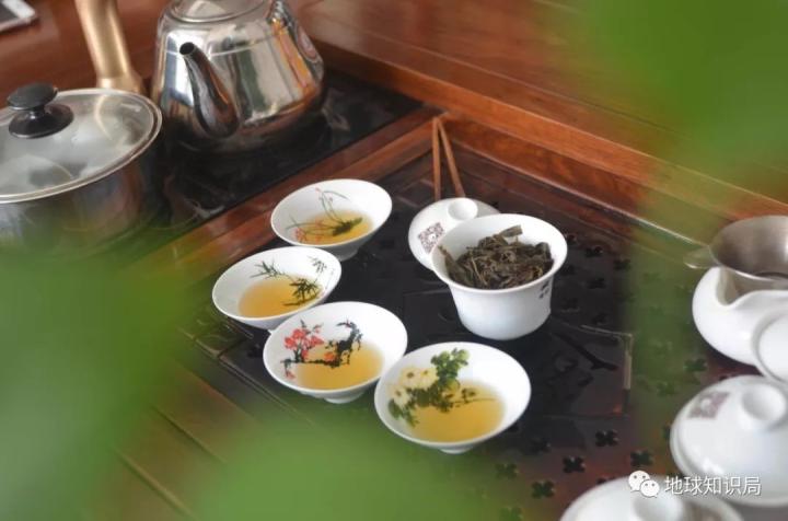 什么是广东早茶?