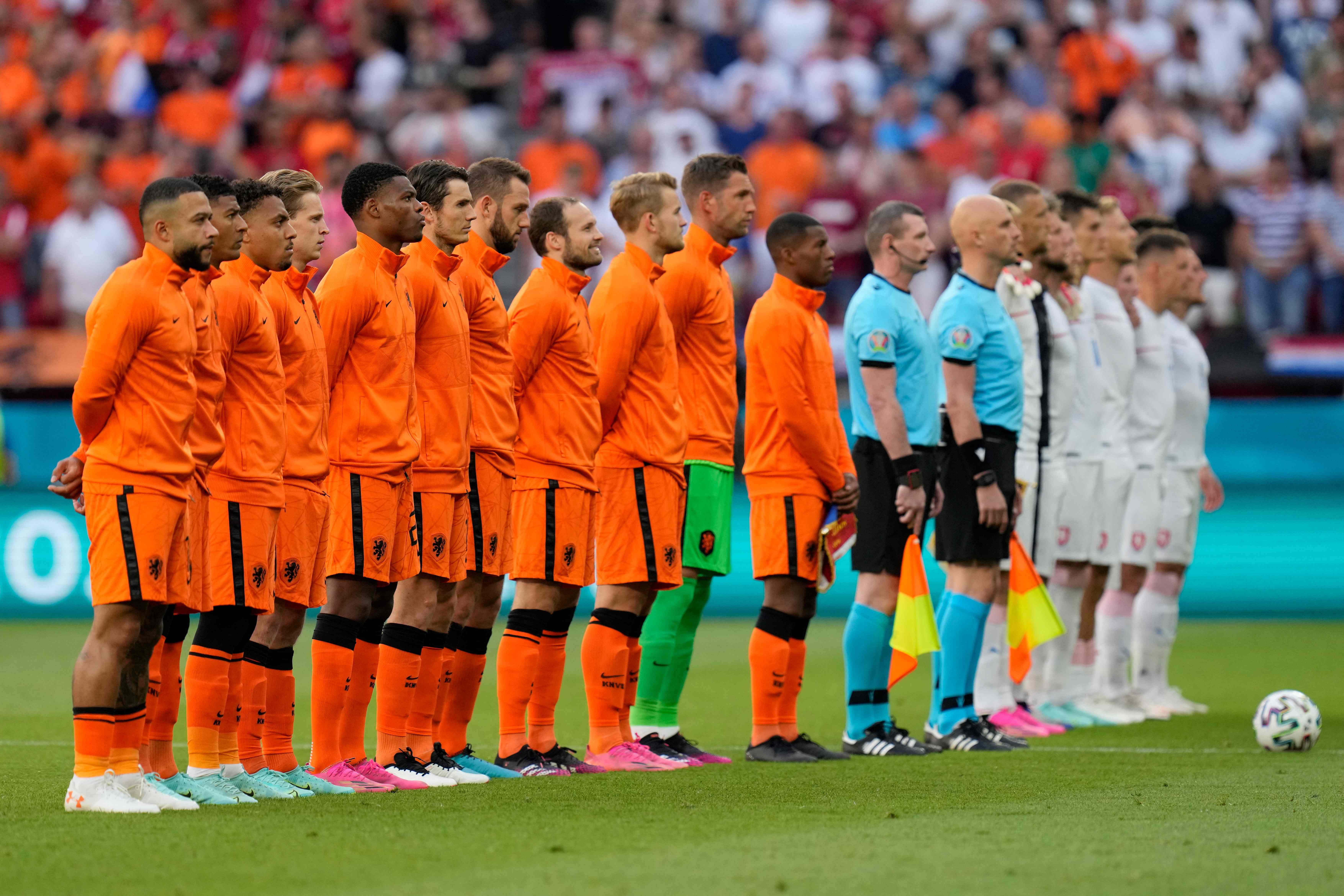 荷兰足球队夺得那一个杯冠军_荷兰进过几届世界杯_荷兰进口重瓣朱顶红
