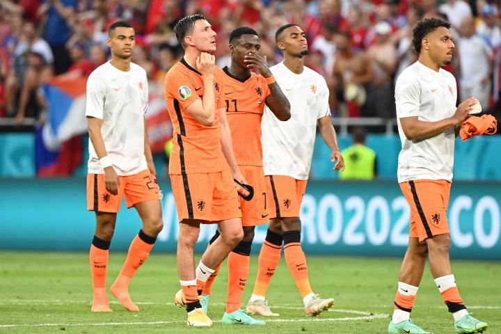 荷兰进过几届世界杯_荷兰足球队夺得那一个杯冠军_荷兰进口重瓣朱顶红