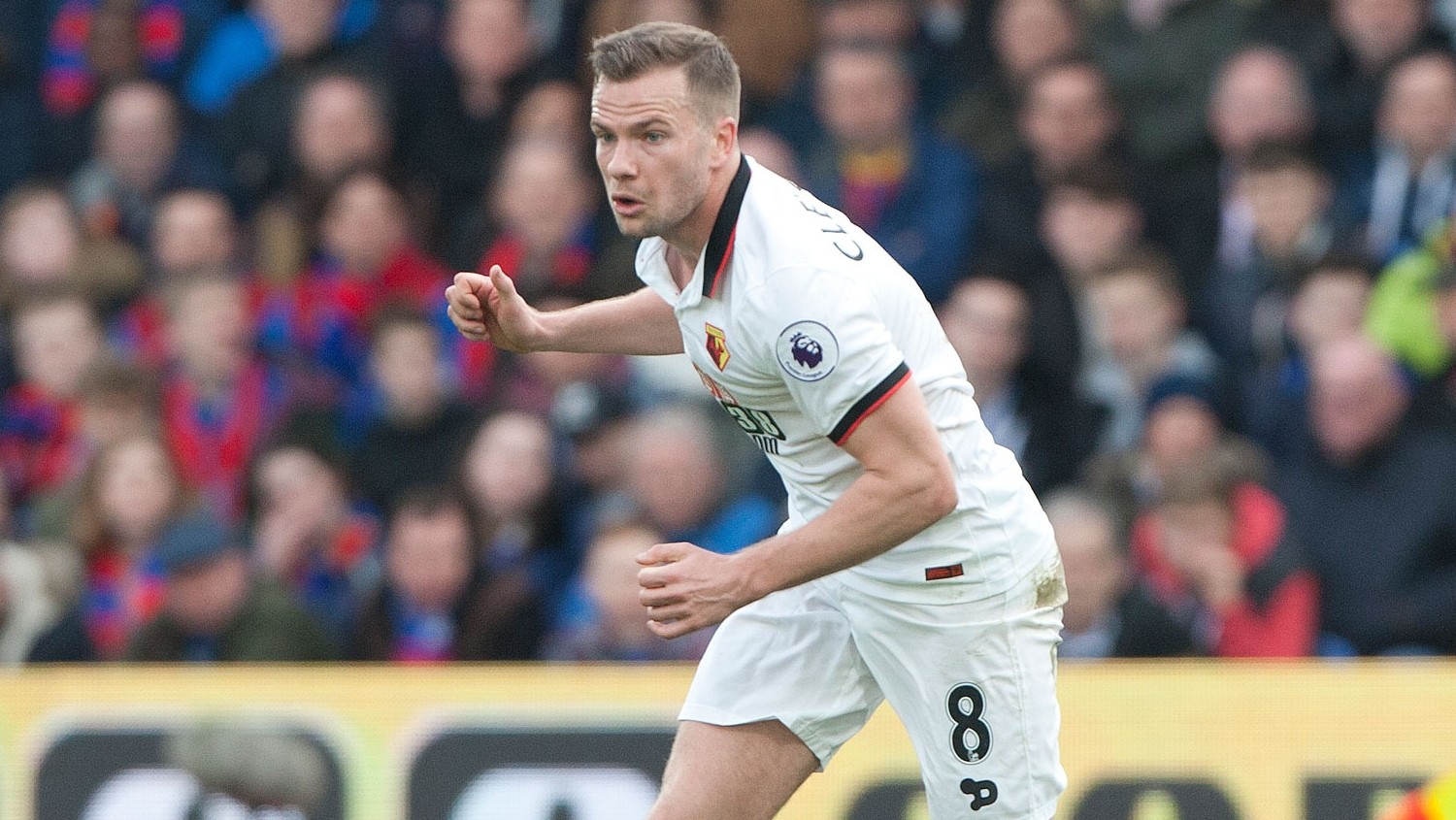 官方:沃特福德买断克莱维利