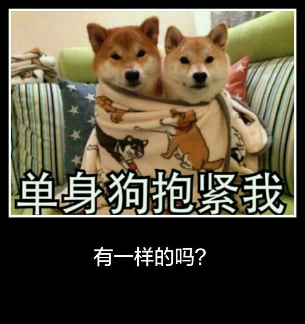 这个人竟然嘲讽单身狗!