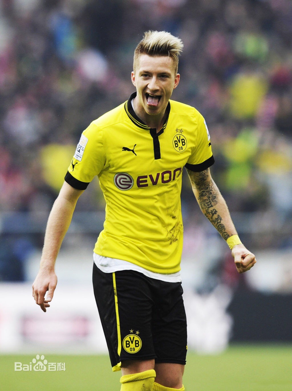 壁纸秀:罗伊斯,29岁生日快乐!