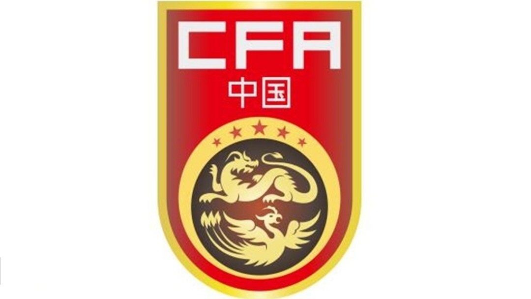 中超青年军盘点之天津天海篇:前路多荆棘,竭力