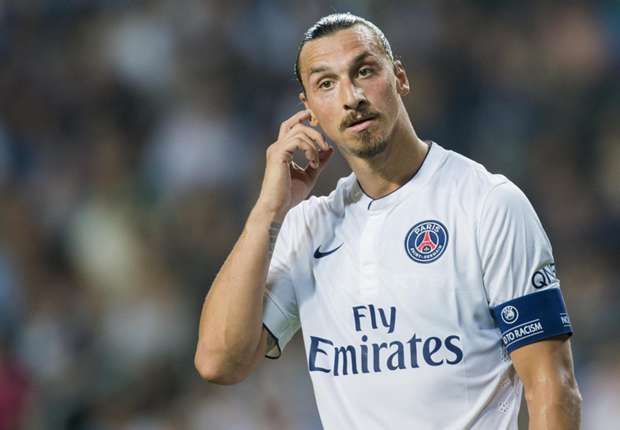 范德梅德伊布真是太赞了