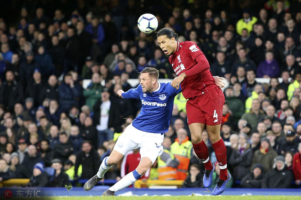 无敌猪哥报2018年全年