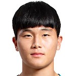 洪元辰