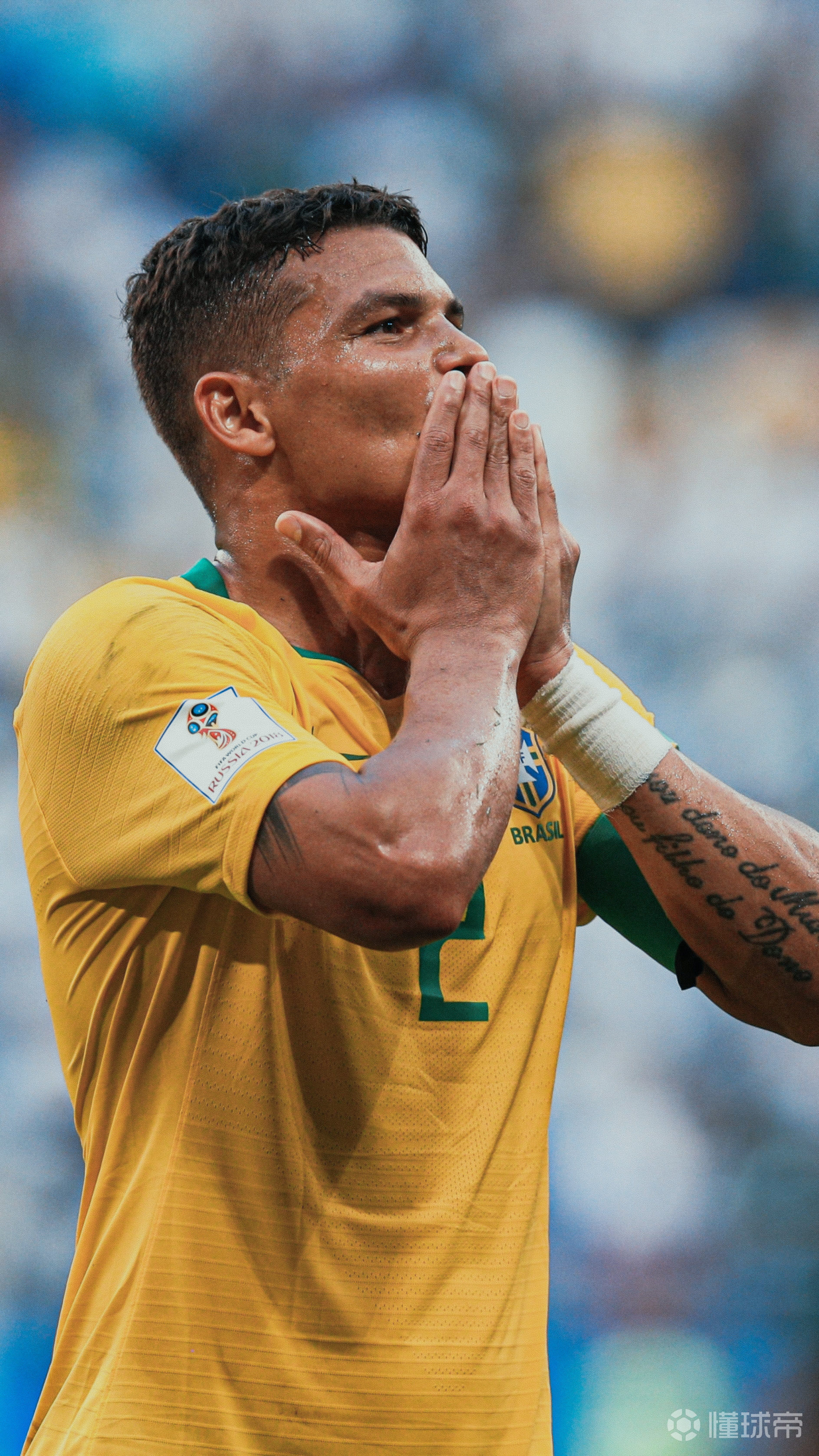 诞辰星蒂亚戈席尔瓦1984922