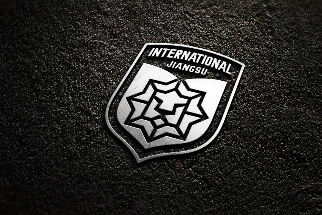 地域文化球队历史这波中超球队队徽非官方设计你给几分