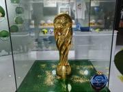 <p>进博会上的足球荣耀泰州冠军奖杯闪耀国际舞台</p>