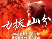  青岛红狮挑战泰山：青涩与成熟的对决

