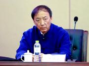  足坛清道夫的陨落：王小平与中国足球的权力游戏
