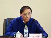  王小平案：中国足坛反腐的异数与拷问
