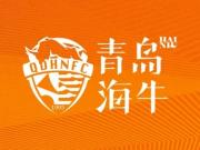 青岛海牛球迷开放日：一场绿茵盛宴的邀约
