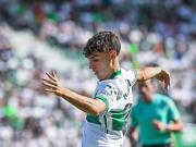 门多萨的坚守与埃尔切的珍宝