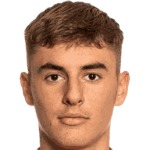 Aljaz Strajnar