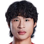 阮奇龙