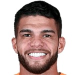 Berguinho