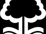  诺丁汉森林官方：克拉克续约至2027年