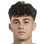Nikola Mituljikic