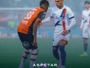 巴黎新星杜埃伤情确诊无缘欧冠焦点战