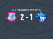 尼日尔FC2-1安耶巴国际