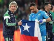 布拉沃力挺佩莱格里尼执教智利国家队引发热议