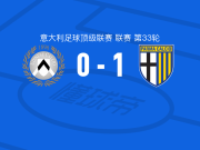 帕尔马1-0乌迪内斯，埃尔菲奇一剑封喉