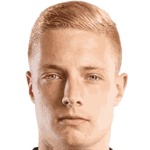 Tomislav Strkalj