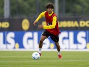 多特新星阿尔伯特 跨文化背景下的足球瑰宝