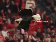 官方：普雷斯蒂安尼禁赛先执行3场，1场已执行还剩2场需执行