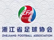 浙江足协：我们不怕技不如人，但怕看到迷茫的眼神和松散的队形