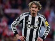 纽卡跟队：斯塔维利的收购目标是热刺，短期内不太可能回纽卡