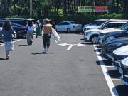 记者：李刚仁在首尔进行了马竞的初步体检