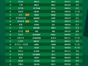 国安官方公布二转报名表，外援中卫斯帕伊奇替换前锋恩科洛洛