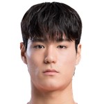 许载元