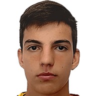 Nemanja Carevic