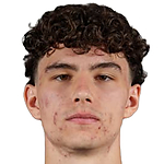 Dominik Nisandzic
