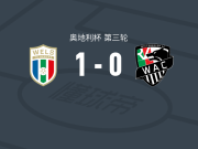 WSC赫塔韦尔斯1-0沃尔夫斯贝格，沙欣制胜球