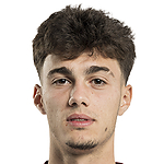 Nikola Mituljikic