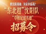 东北超沈阳队发布草根足球英雄招募令，要求无职业球员经历